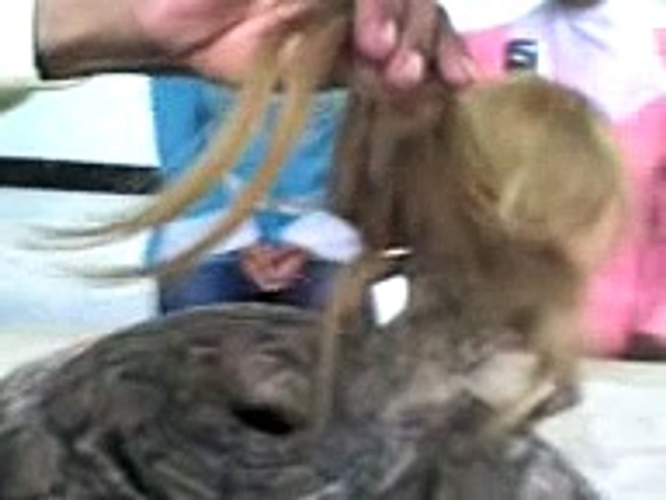 Kudrat ka karishma girl, Watch and say Astaghfir ullah