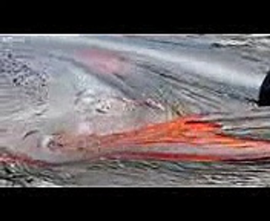 Must See The Miracle Of Allah, Mojza, ALLAH ki Kudrat