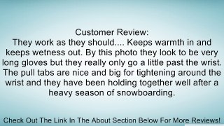 DC Denton Ski Snowboard Mitts Heather Black Review