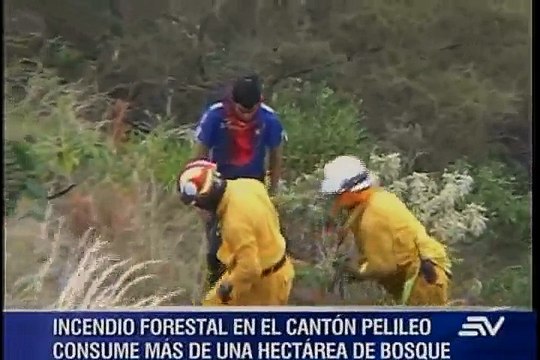 Incendio forestal en Pelileo