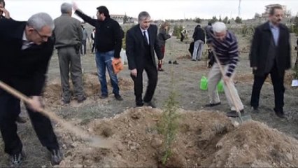 Ermenek'teki Maden Şehitleri İçin Fidan Dikildi