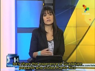 Farmers from Guadalupe and Puerto Rico promote agro-ecology