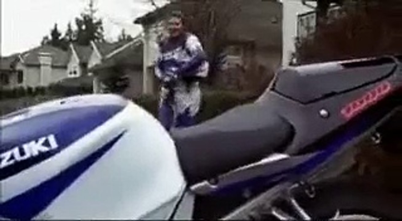 Pub Suzuki GSX-R (Chien)