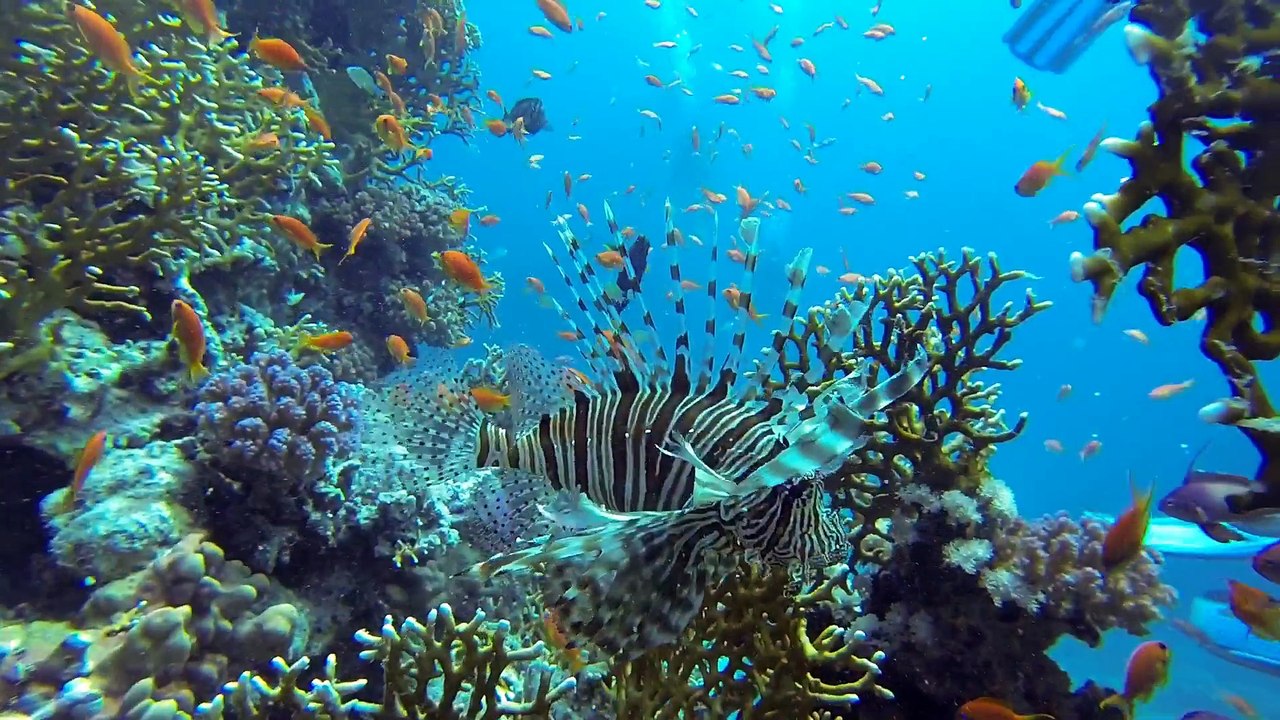 Croisière BDE 23 Novembre 2014