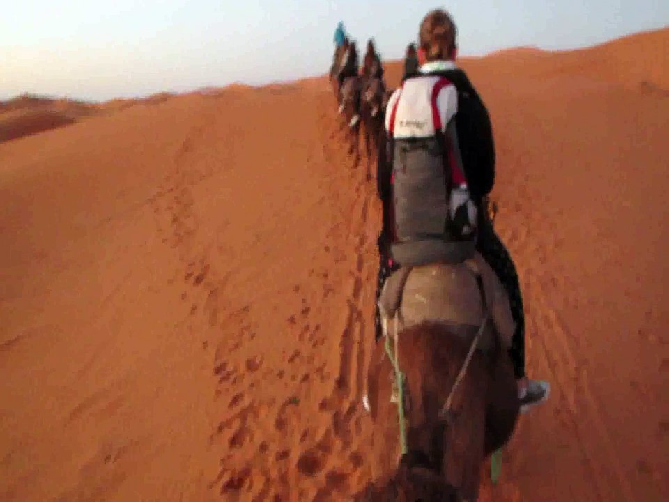 Kamelritt in der Sahara