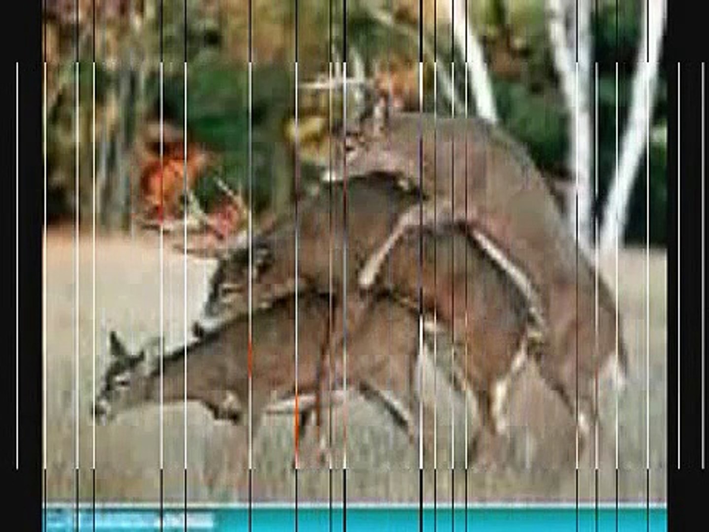 Discovery Channel Song