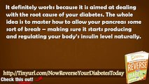 Reverse Your Diabetes Book - Reverse Your Diabetes Today By Matt Traverso