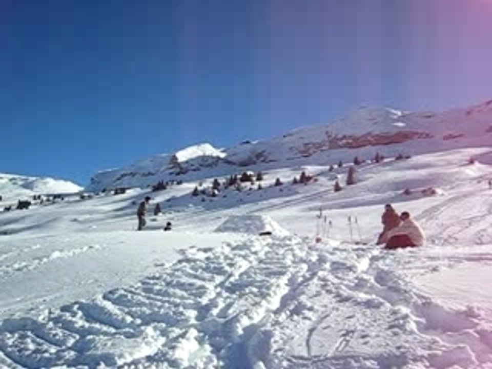 MVI_0748