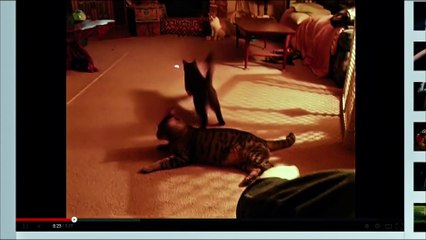 Uma Noite no Museu 3 - O Segredo  da Tumba - Trailer