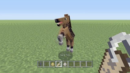 Minecraft (Xbox 360/PS3) - TU19 UPDATE! - HOW TO USE NAMETAGS - TUTORIAL (Guide)