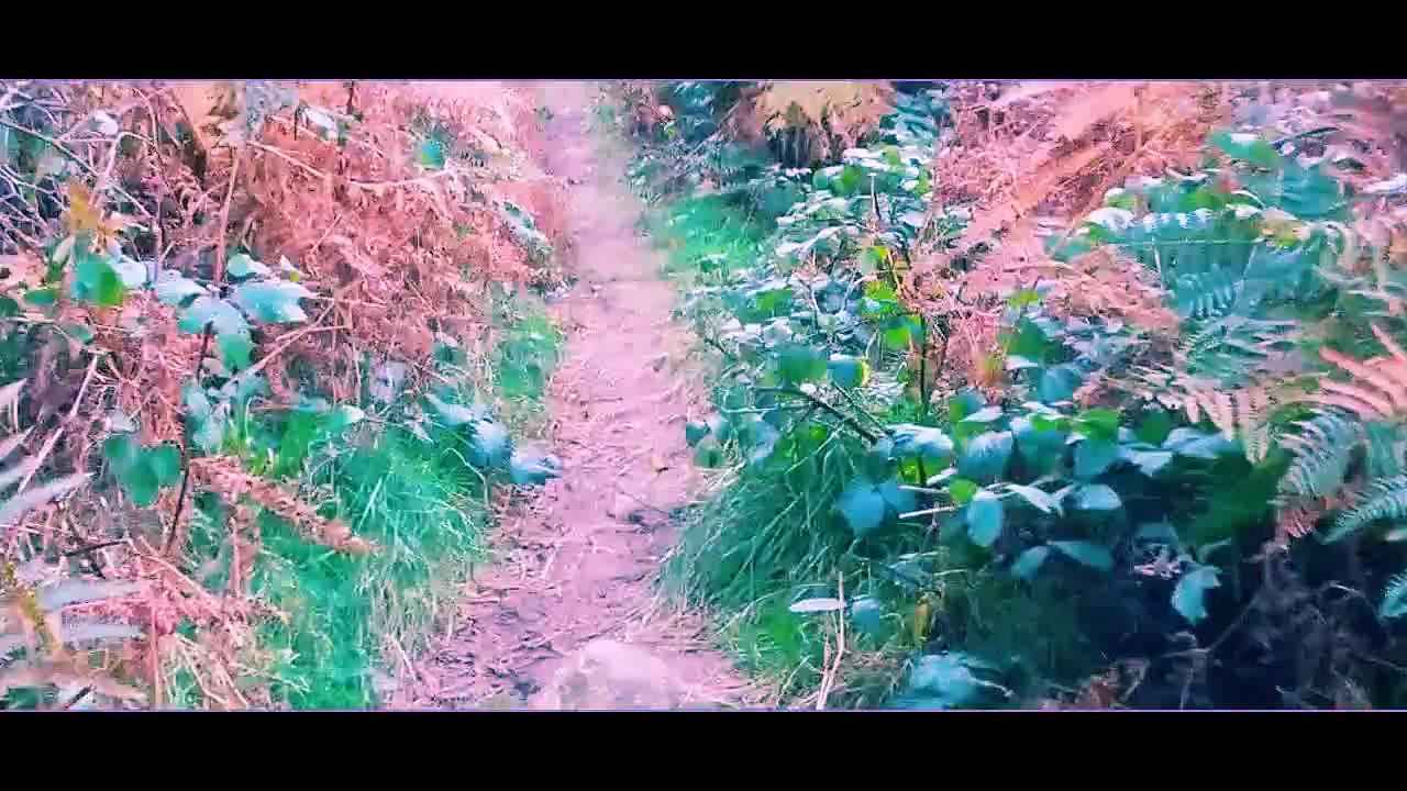 MOVIE(2)
