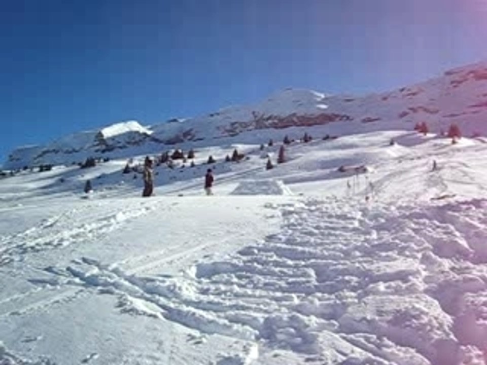 MVI_0753