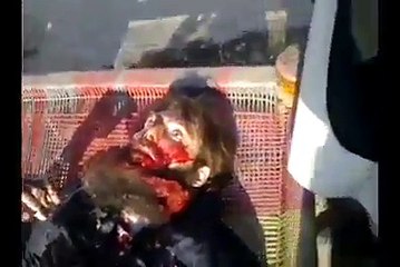 This is really amazing