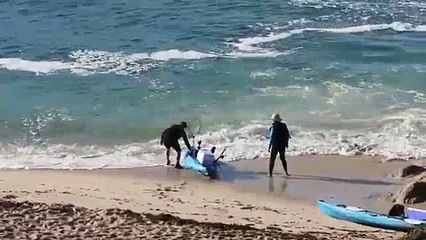 Comical and ridiculous time trying to get the kayak at sea