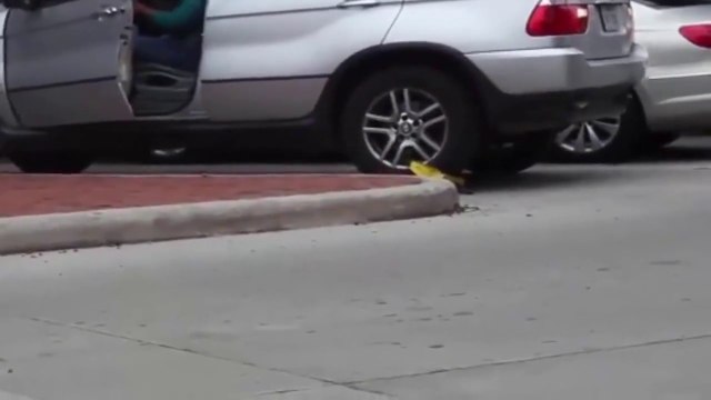 Woman Gets Her BMW Booted At A Bad Girls Club Audition And Drives Off Anyway!