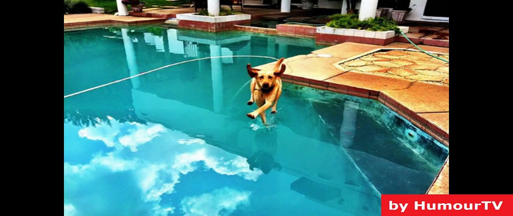 24 Perfectly Timed Photos