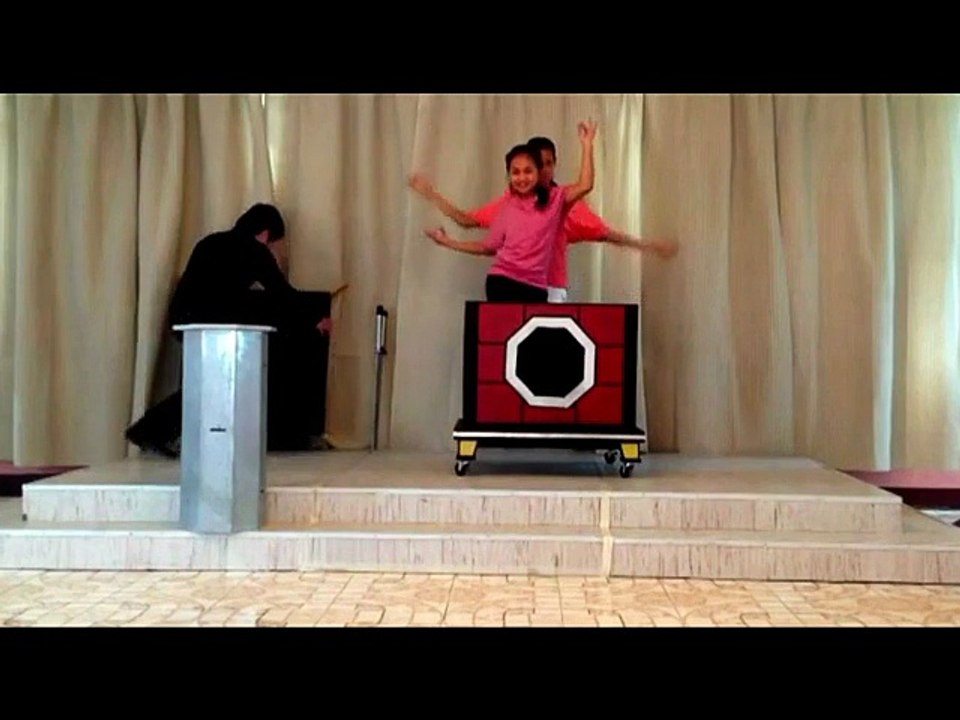 PAGODA ILLUSION BY DR. GERTES