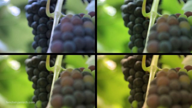 The-ultimate-Introduction-to-DSLR-Filmmaking Basic-Tutorial