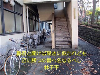 自分に勝つ！やる気が出る偉業達成者のセリフ（日本テレス）～林子平～