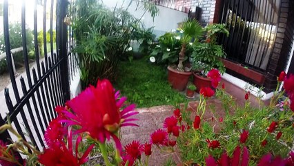 Garden [GoPro Hero3+]