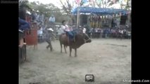 Jaripeo De Rancho Toros Los Constructores De Juliantla Jinetes Montando A Grapa Estilo Colima Dic 2014 Caidas Porrazos Y Sustos