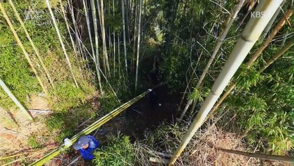 코리언 지오그래픽.E10.시간의 그물, 죽방렴.141218