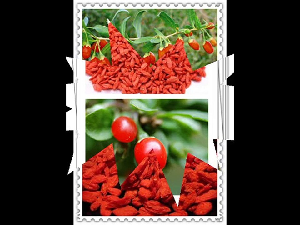good things for wolfberry ectract