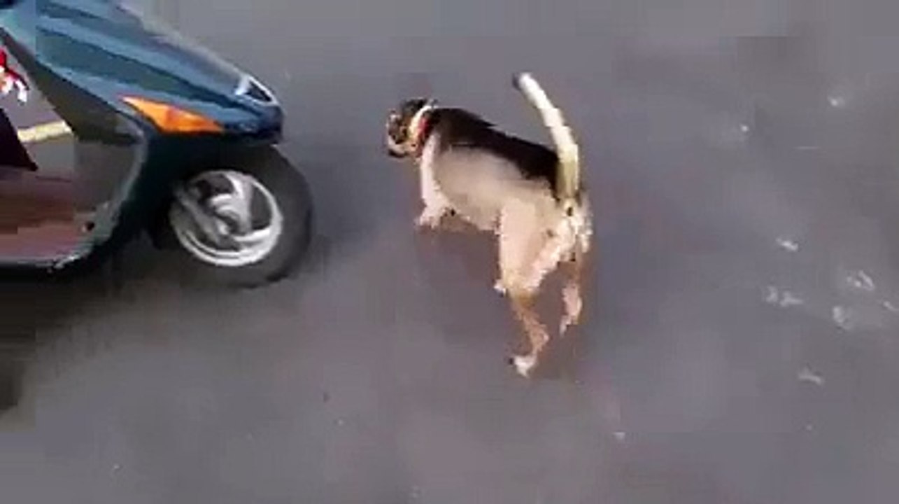 Let's go I 'm ready !