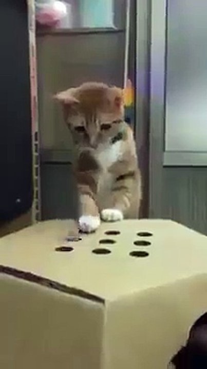How easy it is to entertain you!