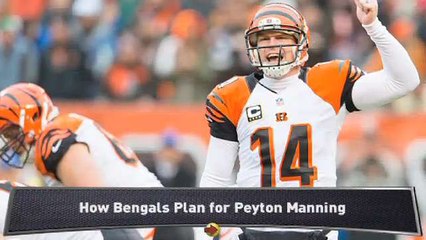 Morrison: Bengals Must Fear Manning