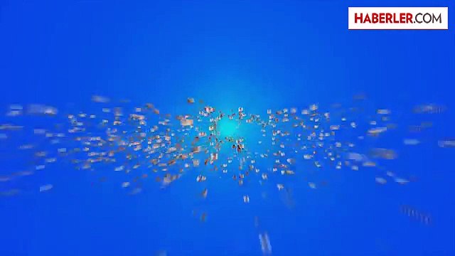 Google Bread Crumb Nedir? E-ticaret Siteleri İçin Neden Önemli?