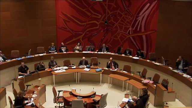 Intervention de Laurence Vaton - Conseil municipal de Strasbourg - 15 décembre 2014