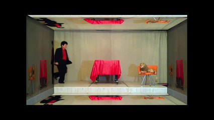 TOY TIGER TO LADY by DR. GERTES