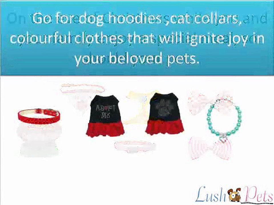 What you should know when buying Christmas gifts for your pet