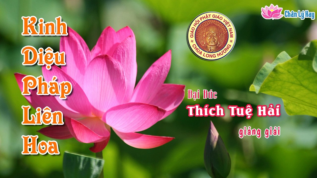 Kinh Diệu Pháp Liên Hoa (02) - Đại Đức Thích Tuệ Hải