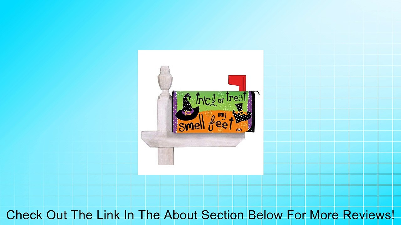 Halloween Hijinks Magnetic Mailbox Cover Review