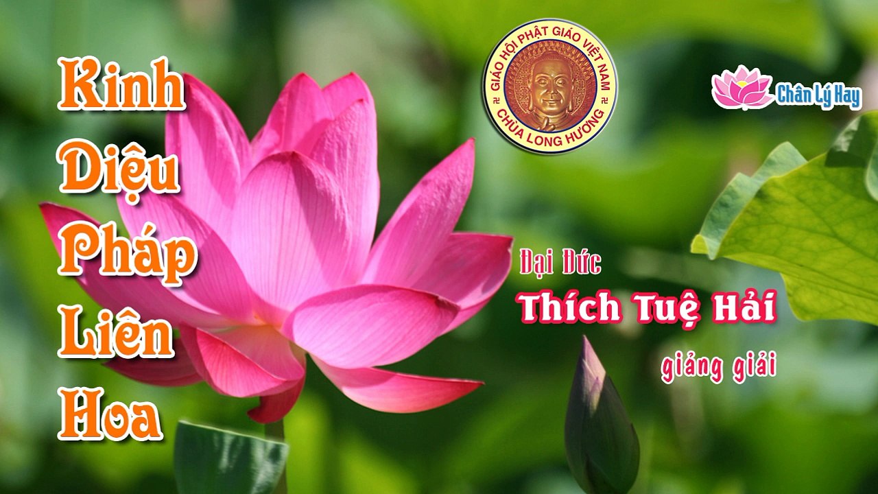 Kinh Diệu Pháp Liên Hoa (09) - Đại Đức Thích Tuệ Hải
