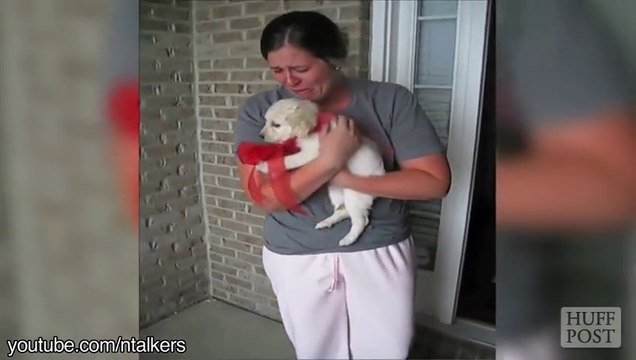 En pleurs car ils ont eu un chen pour Noël - Compilation énorme