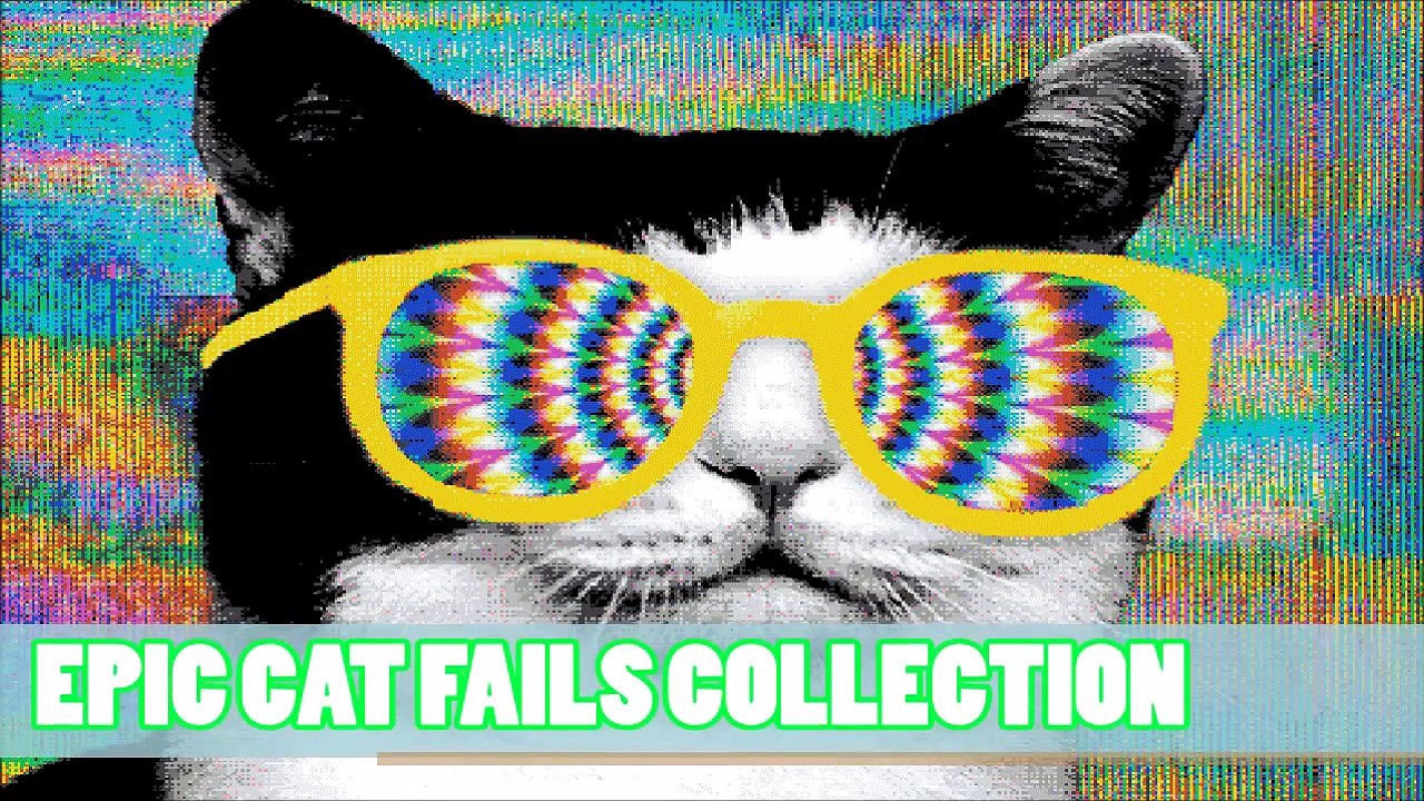 EPIC CAT FAILS COLLECTION.