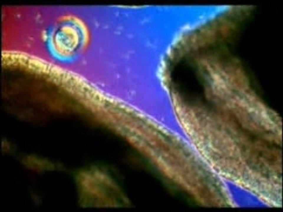07 LES MIRACLES DU CORAN