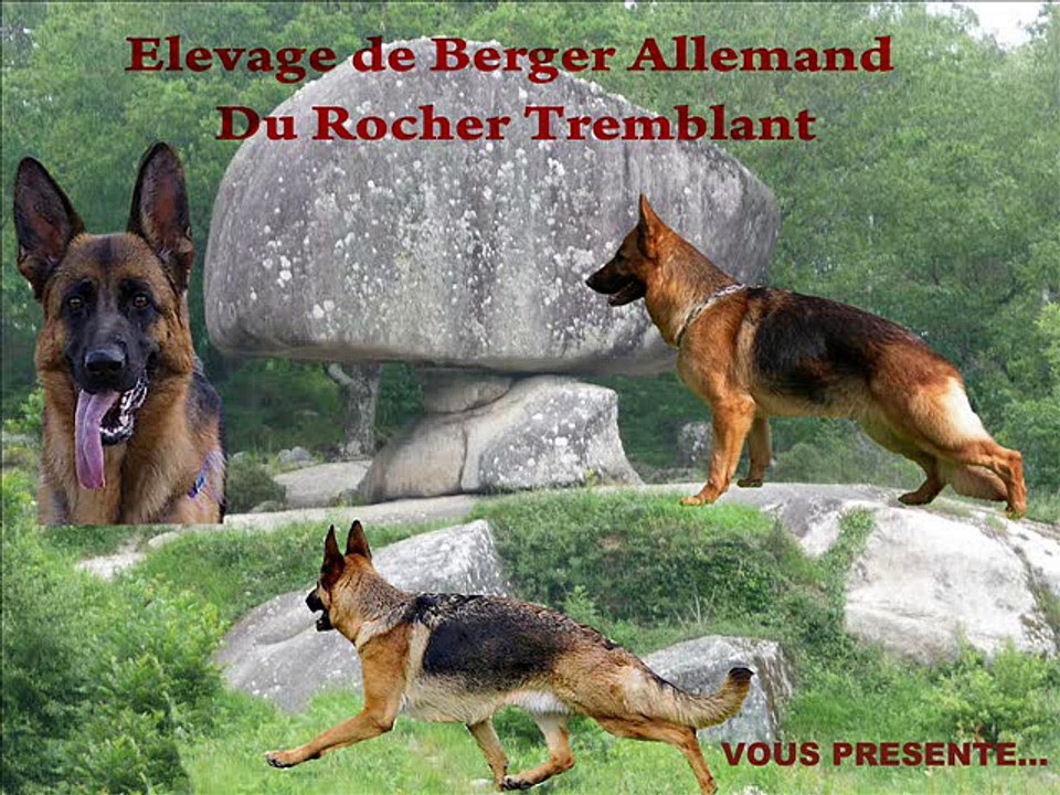 Les futurs bébés ...