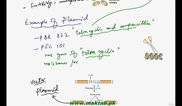 FSc Biology Book2, CH 23, LEC 3, Vector, Recombinant DNA and its Expression.