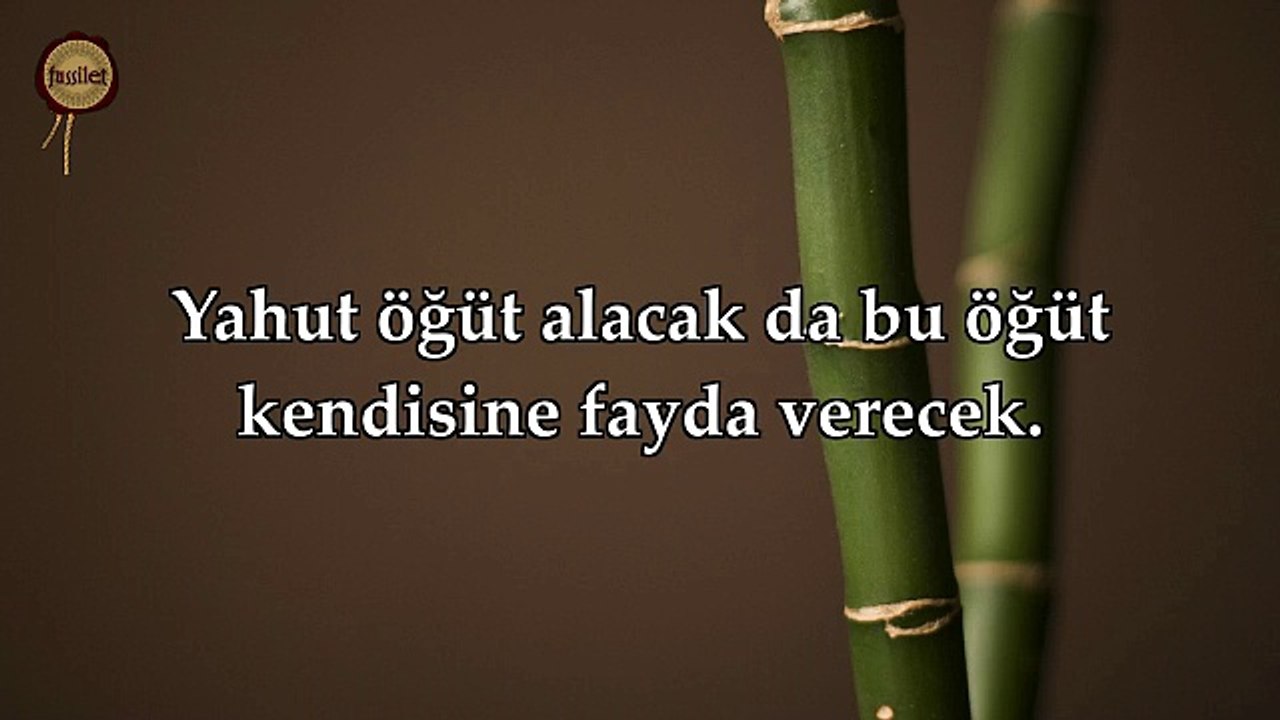 Abese Suresi Meali