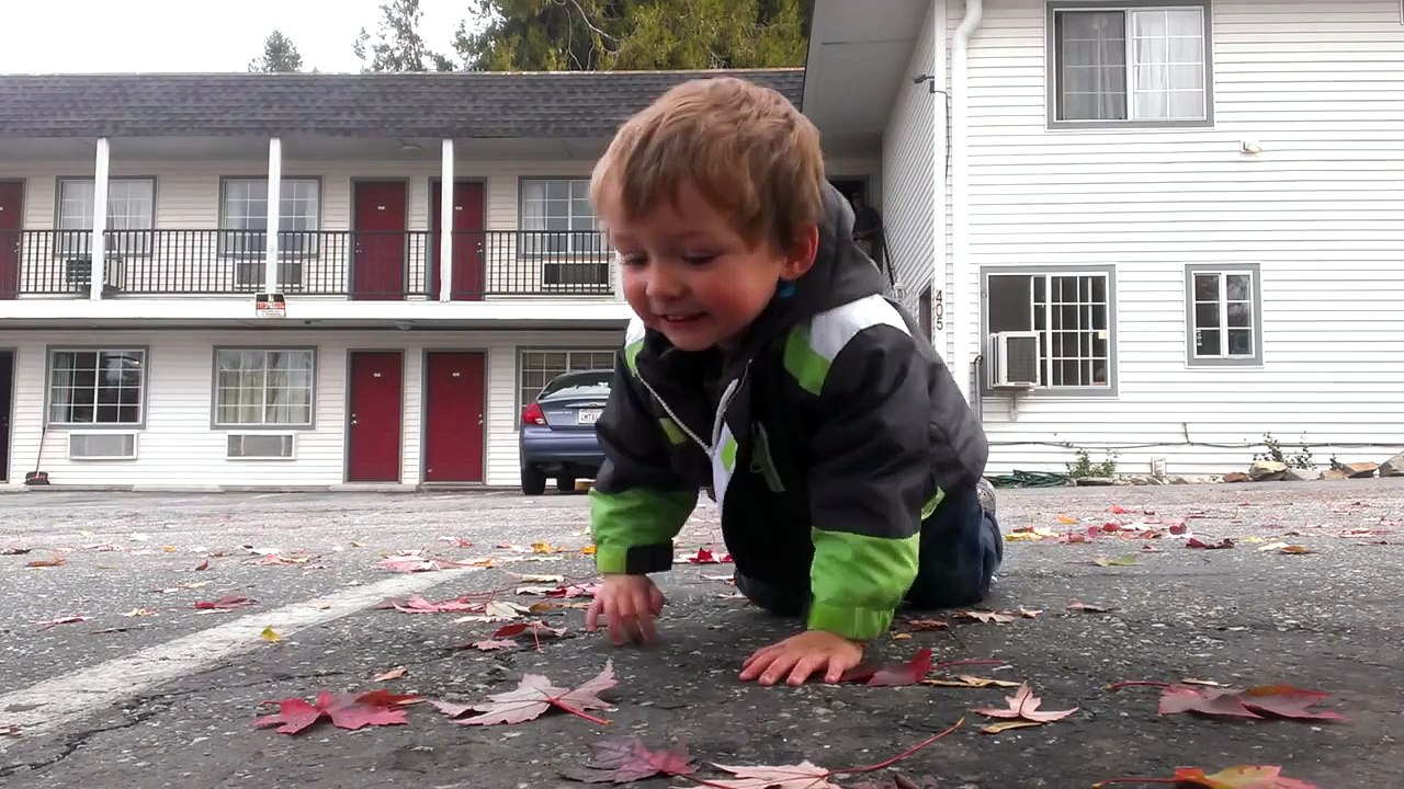 A 2 ans il danse sur du dubstep comme un pro
