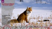 Survivre à l'hiver