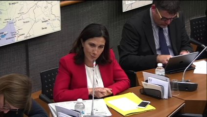 Travail dominical Délégation aux Droits des Femmes 17/12/14