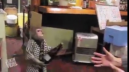 monkey robot work at hotel