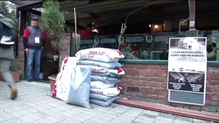 Konseri Bilet Yerine Kedi-köpek Maması Alarak İzlediler