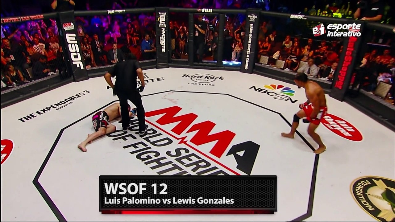 TOP 5 - Nocautes WSOF 2014
