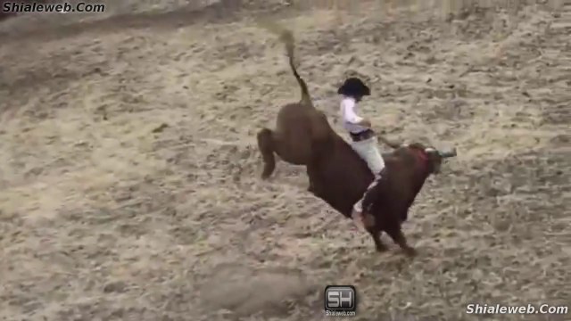JARIPEO Extremo HD Atacheo Michoacan Valientes Jinetes Montando Toros Salvajes De Los Constructores La Mejor Ganaderia De La Zona Espuela Libre Dic 2014
